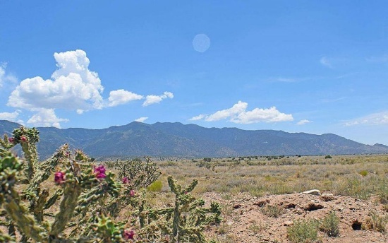 Quarter-Acre Lot Near the Mountains in New Mexico!