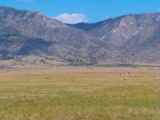 Almost Half an Acre in booming Valencia County, New Mexico!