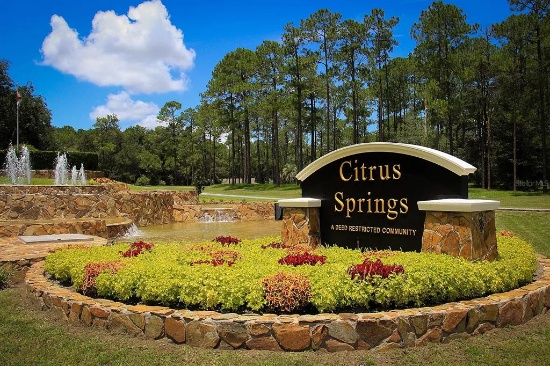 Own Land in Sunny Citrus Springs, Florida!