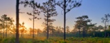 One Minute Stroll to Shell Creek in Charlotte County, Florida!