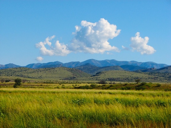 Explore all that Cochise County, Arizona has to Offer!