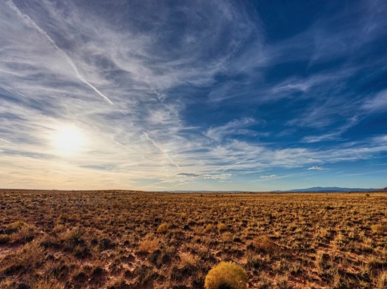 Invest in Yourself!  Invest in New Mexico Land!