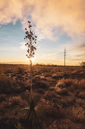 Wake Up to Arizona Deserts & Mountains in Cochise County!