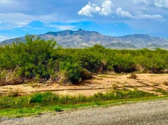 Beautiful Lot in Cochise County, Arizona!