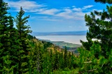 Don't Miss Your Chance to Own One Pine-Covered Acre in Northern California!