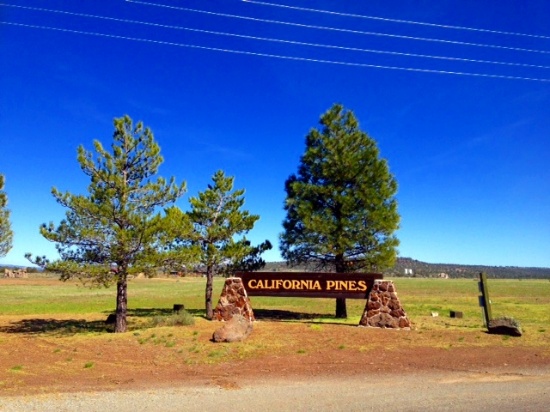 1.78 Acre Property in Peaceful, California Pines, CA!