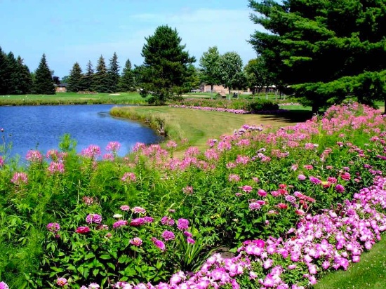 Beautiful Lot in the Lakewood Shores Community, Iosco County, Michigan!