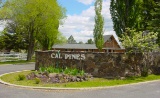 Escape the City on Nearly an Acre of Majestic Pines in Northeast California!