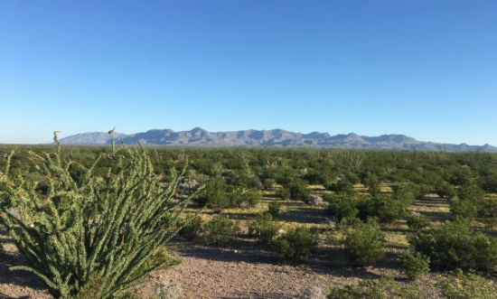 Camp on Your Picturesque 40-Acre West Texas Ranch!