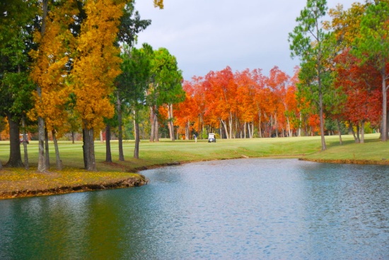 Prime Lot Near the Golf Course & South Fork Spring River in Cherokee Village, Arkansas!