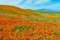 2.54 Acre Lot in Los Angeles County, California with Mountain Views!