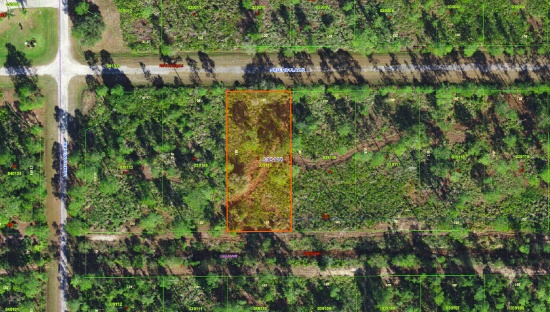 Build on this Half Acre Lot in Indian Lake Estates, Polk County, Florida!