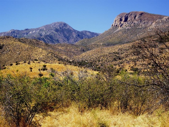 Invest in Land in Historic Cochise County, Arizona!