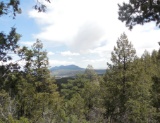 Quarter-Acre Lot Near the Mountains in New Mexico!