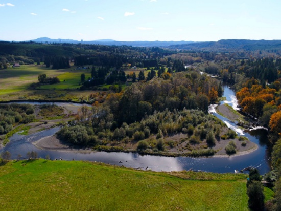 Own Land on Washington's Pacific Northwest Olympic Peninsula!