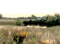 Nearly an Acre to Enjoy 