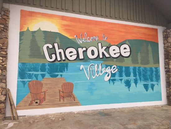 FINANCE this 20-Lot Package in Cherokee Village, Arkansas! The Possibilities are Endless!