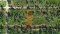 Build on this Half-Acre Lot in Indian Lake Estates, Polk County, Florida!