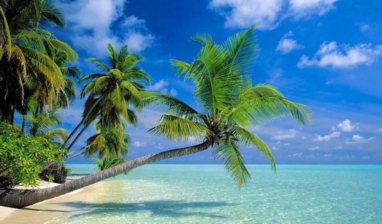 Invest in Endless Opportunities: Land Liquidation!