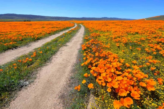 Over 2.5 Acres in Los Angeles County, California!