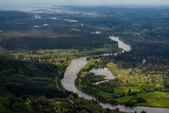 Own a Lot on the Olympic Peninsula in Grays Harbor, Washington!