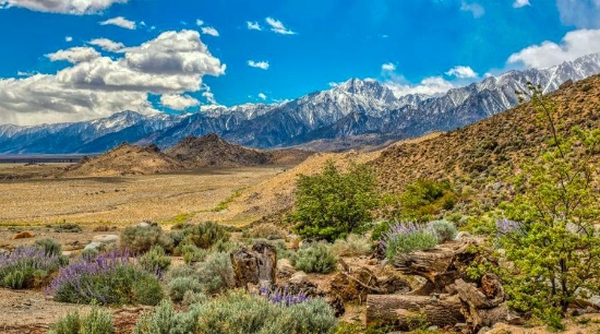 Inyo County, California: 2.5 Acre Getaway Retreat!