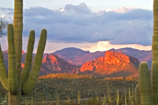 Own Your Own Piece of the Arizona Desert in Navajo County!