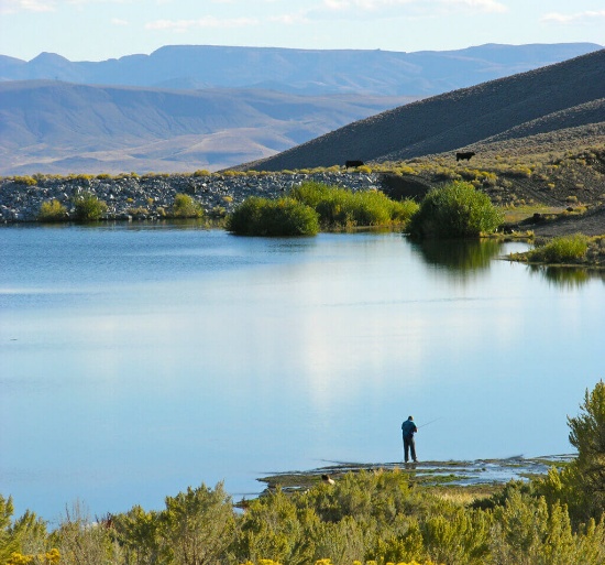 Indulge in the Splendor of Nevada: A Serene 10 Acres in Lander County!