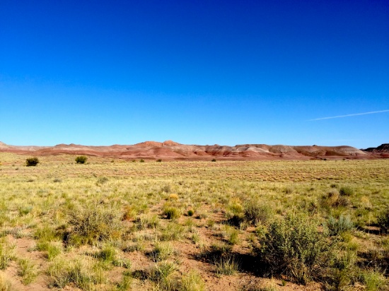 1.26 Acres in Breathtaking Navajo County, Arizona!