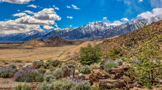 2.5 Acres of Natural Beauty in Stunning Inyo County, California!