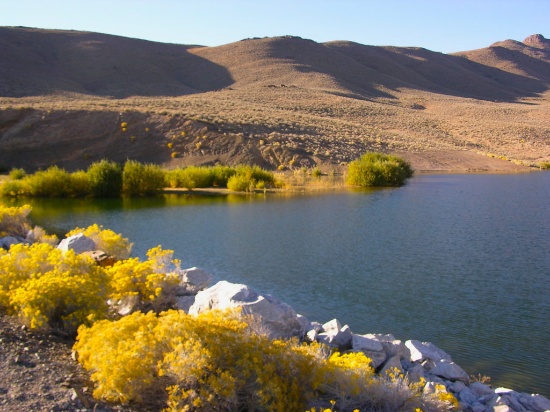 Spectacular 160 Acres: Mountain Paradise in Lander County, Nevada! BIDDING IS PER ACRE!