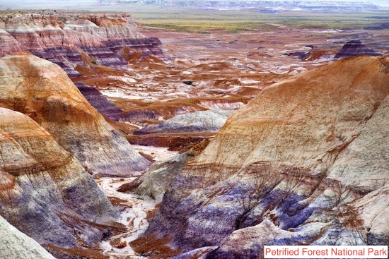 Just 25 Miles from the Petrified Forest National Park, in Arizona!