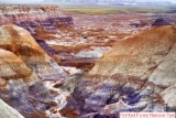 Just 25 Miles from the Petrified Forest National Park, in Arizona!