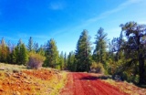 California Pines, Modoc County: Find Your Tranquil Paradise with Over an Acre of Pine Forest!