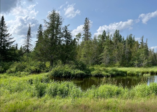 Unveil the Beauty of Northern Maine: Embrace 30.65 Acres of Serenity!