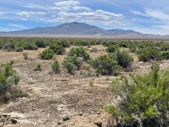160 Picturesque Acres in Battle Mountain, Nevada! BIDDING IS PER ACRE!