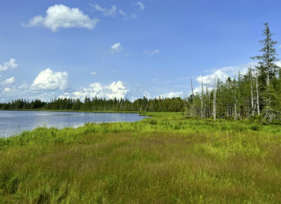 30.65 Acres of Serenity in Northern Maine!