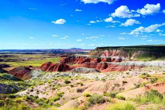 Discover Your Serene 2.5-Acre Arizona Getaway Close to the Petrified Forest National Park!