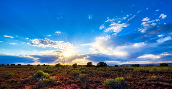 Expand Your Land Collection: Exclusive 10-Lot Package in New Mexico! BIDDING IS PER LOT!