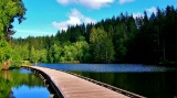 Discover the Coastal Beauty of Grays Harbor, Washington!