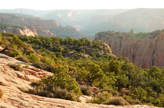 Arizona Gem: 1.25 Acres of Navajo Heritage, Diverse Culture, and Stunning Landscapes Await!