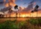 Secure Your Piece of Charlotte County, Florida!