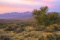 Nearly 56 Acres in Lander County, Nevada!