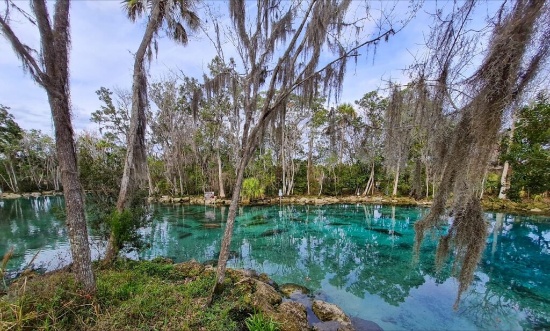 Claim Your Piece of Land near The Bay in Citrus Springs, Florida!