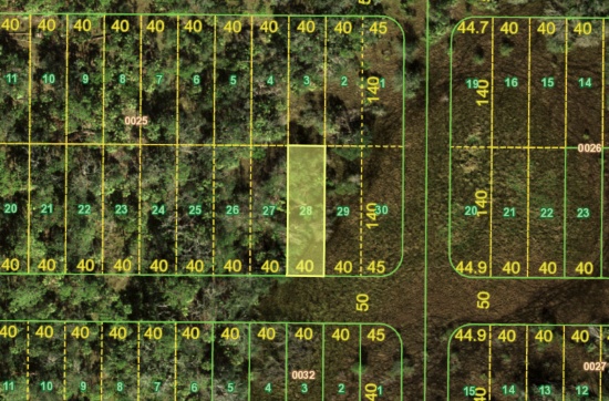 Diversify Your Land Holdings: Acquire a Slice of Dynamic Florida!