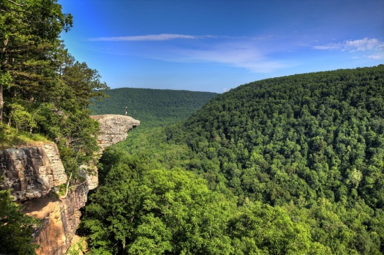 FINANCE 20-Lots in Cherokee Village, AR!