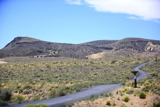 Expand Your Land Portfolio: Exclusive Set of 10 Lots in New Mexico! BIDDING IS PER LOT!