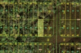 Diversify Your Land Holdings: Acquire a Slice of Dynamic Florida!