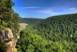 FINANCE 20-Lots in Cherokee Village, AR!