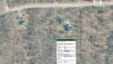 Over an Acre Residential Plot in a Michigan Community!